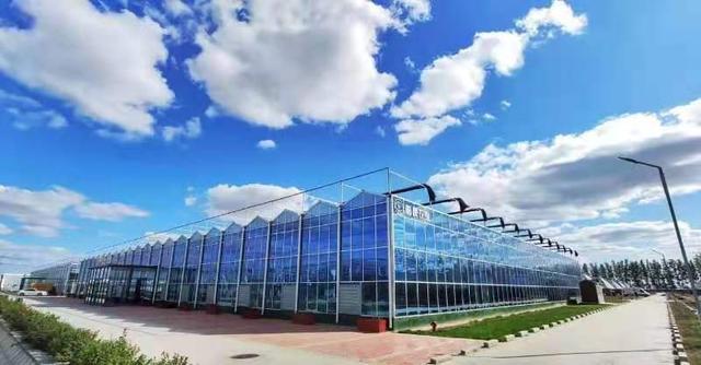 濰坊國家現(xiàn)代農(nóng)業(yè)產(chǎn)業(yè)園勇當創(chuàng)新提升&ldquo;濰坊模式&rdquo;排頭兵