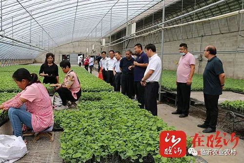 創新農業科技服務 助力沂蒙鄉村振興 市農科院 學悟見創 暨科技示范基地現場觀摩會活動舉行