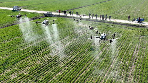 上海戰略所 國際農業科技創新加速,中國大都市如何作為