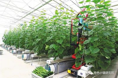 【新業(yè)態(tài)】休閑農(nóng)業(yè)、互聯(lián)網(wǎng)+農(nóng)業(yè)、智慧農(nóng)業(yè)&hellip;