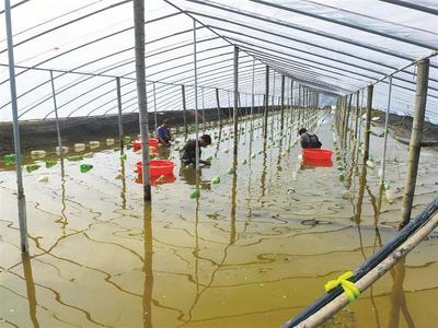 水產(chǎn)科技服務送到田間地頭