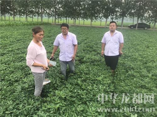 西華 農(nóng)業(yè)科技人員田間地頭忙扶貧