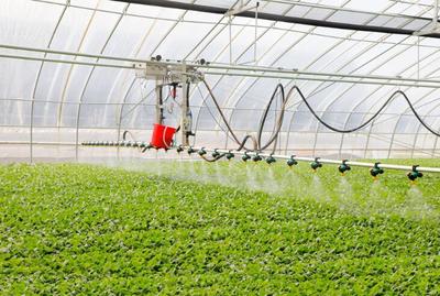 新春走基層丨江蘇濱海:人勤春早農(nóng)事忙,&ldquo;蔬&rdquo;寫現(xiàn)代農(nóng)業(yè)新篇章