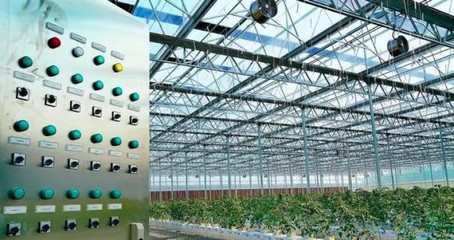 吐魯番數(shù)字設(shè)施農(nóng)業(yè)建造聯(lián)系方式