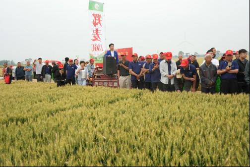 優(yōu)特產(chǎn)業(yè)支撐計(jì)劃優(yōu)質(zhì)小麥專項(xiàng)在滑縣召開觀摩會(huì) 鄭麥1860樹立 種糧一體化 新標(biāo)桿