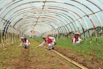 聚焦黨代會(huì) | 五華奮力譜寫區(qū)域性國際中心城市高品質(zhì)核心區(qū)建設(shè)嶄新篇章