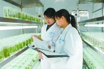 干貨!互聯網+農業的10大好處