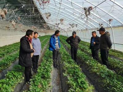 銀川新聞網(wǎng)